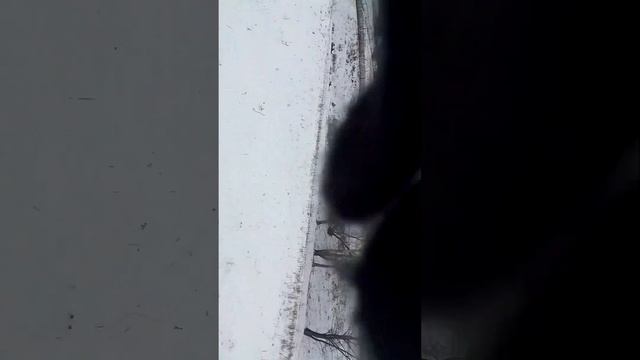 24 ноября 2023 г. смотреть онлайн