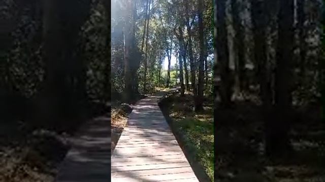 прогулка смотреть онлайн