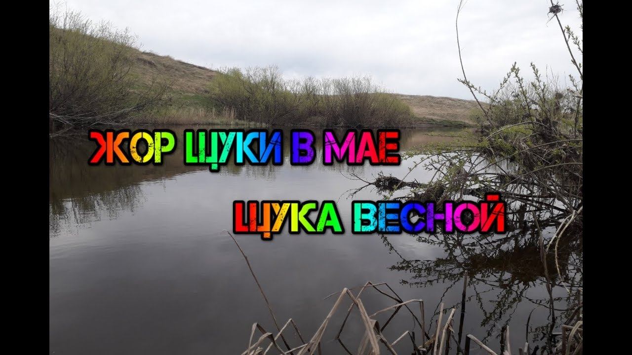 Щука весной на спиннинг. Жор щуки в мае! 