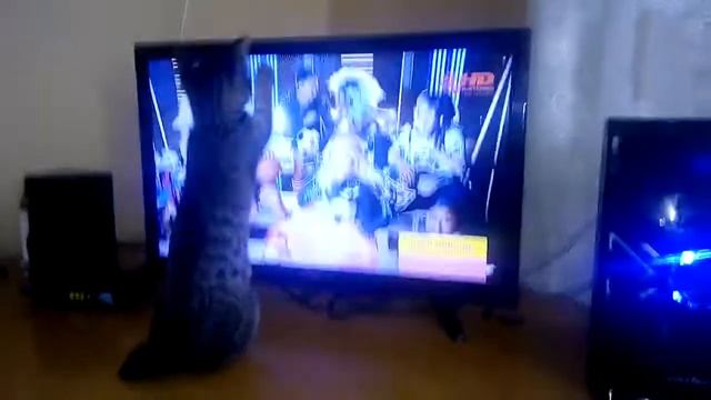 Екатерина Анатольевна смотрит телик