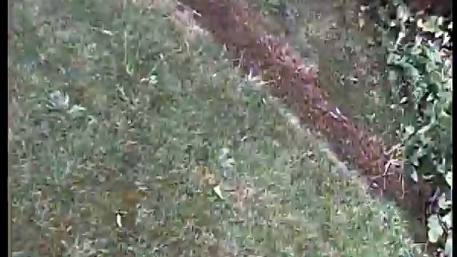 FPV 1/3 Inch HD Color CMOS 600TVL Mini Camera PAL From Banggood