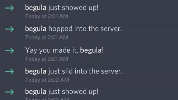 #begula  #beluga #discord сборник #3