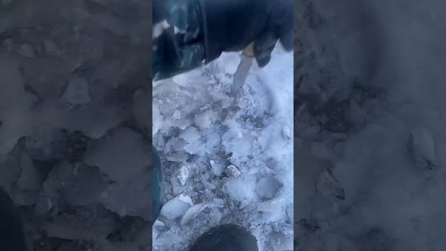 19 декабря 2023 г. смотреть онлайн