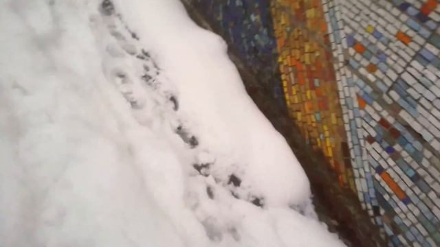 Сегодня мы играем в снежки.😏
