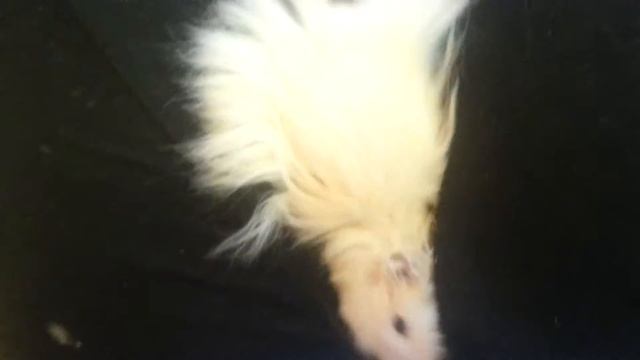 кристалики и снежок :3★