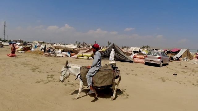 ❗️Похищают туристов в Турции и Египте!Как они это делают?