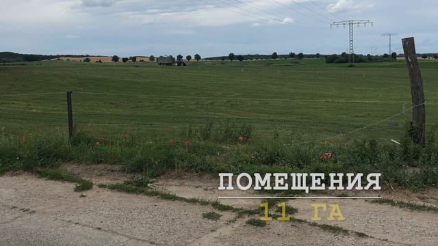 Как завоевать сердце потребителя?| Реплика дня The DairyNews смотреть онлайн