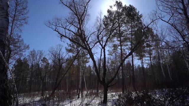 Звездная Тропа Здоровья в ЗАТО Циолковский смотреть онлайн