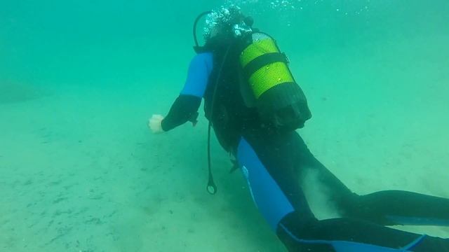 ДАЙВИНГ salou смотреть онлайн