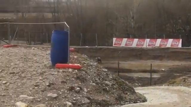 alessandro lupino смотреть онлайн