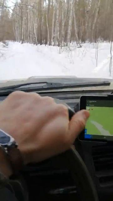 Рачейский бор 1 смотреть онлайн