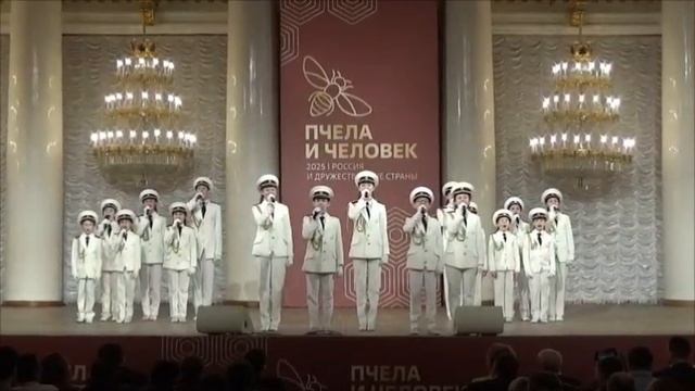 "Мы смена" Музыка Александра Гилева, слова Павла Каликина. смотреть онлайн