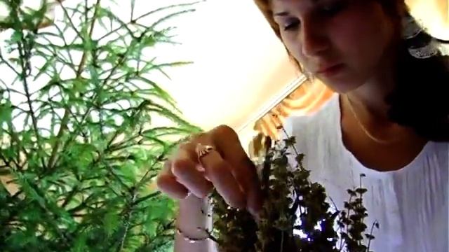 Весілля Петра та Христини.14.07.2011.Частина 1... смотреть онлайн