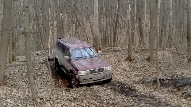 красный сейф покатуха 13.04.14