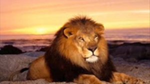 Лучшие песни нашей молодости