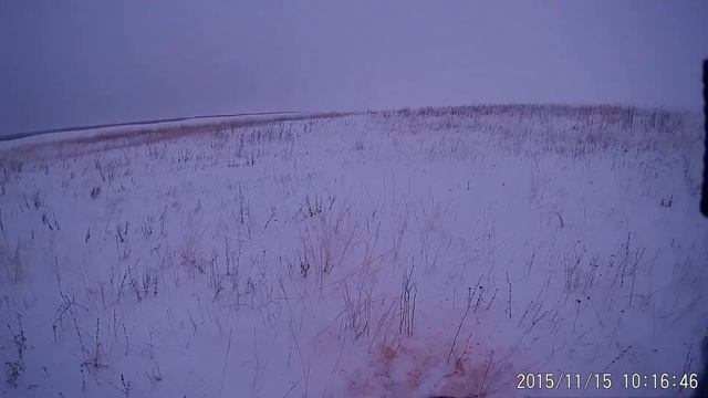 заяц из под пинка смотреть онлайн