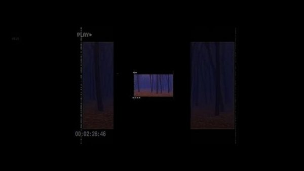 продолжаем смотреть backs