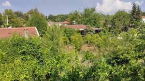 Lykia Botanika Club - Номер 516 (Яныклар, Фетхие)