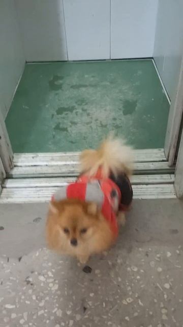 Куда приехала? смотреть онлайн