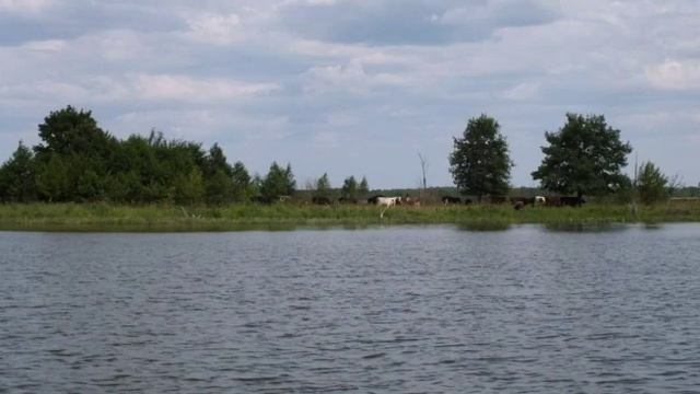 Динар Шәймәрданов башкаруында туган як турында җыр смотреть онлайн