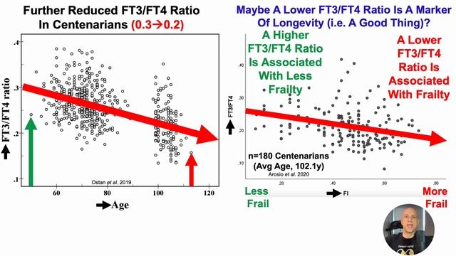 Thyroid Hormones (FT4, FT3): What's Optimal?
