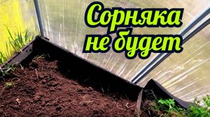 Как избавиться от сорняка в теплице между грядкой и карбонатом