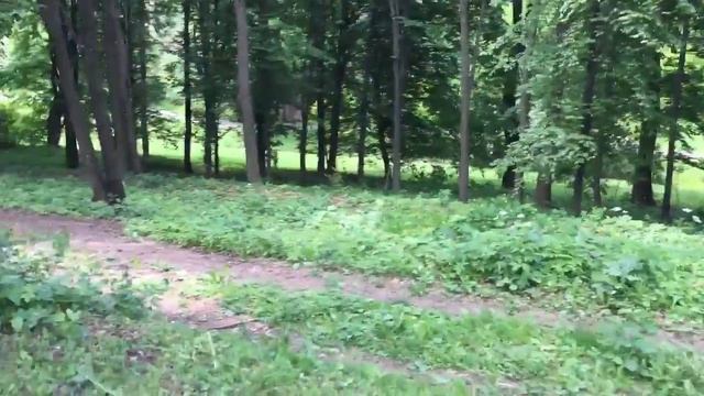 Софиевский парк , УМАНЬ ! смотреть онлайн