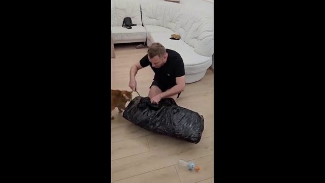 Остался у разбитого корыта снова