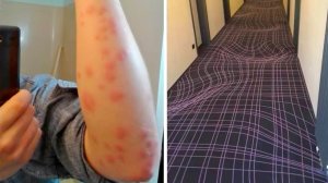 Отели, от которых хочется убежать