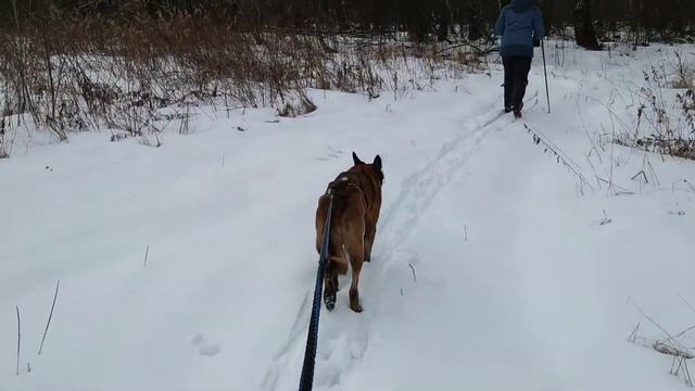 Снежок! смотреть онлайн