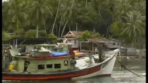 Путешествия натуралиста. Малайзия. Тренгану