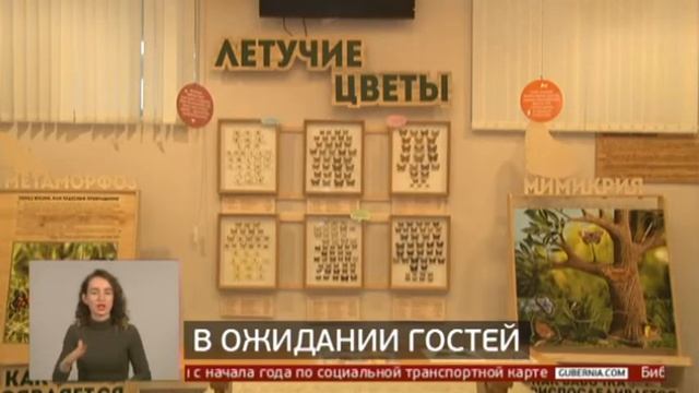 В ожидании гостей. Новости. 07/08/2020. GuberniaTV смотреть онлайн