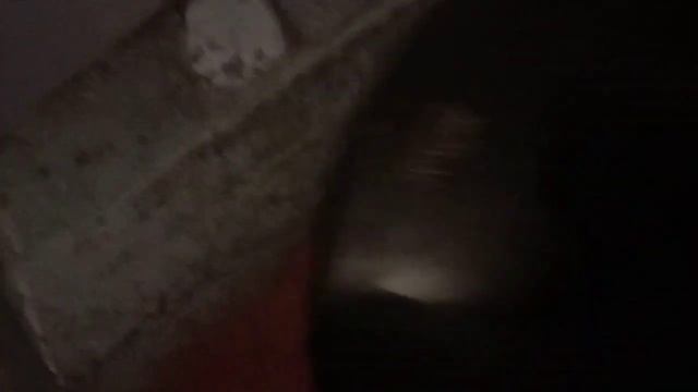 Хочешь верь, хочешь не верь. смотреть онлайн