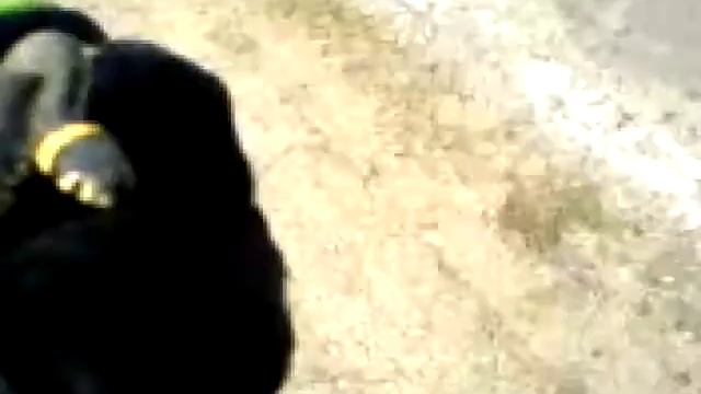 Ужик смотреть онлайн