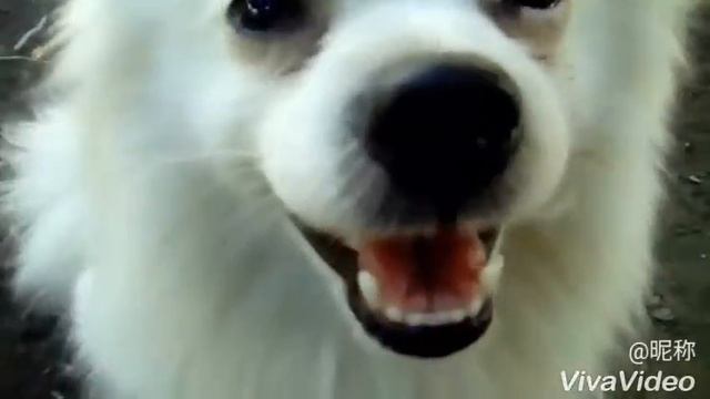 Немного обо мне/УТРО