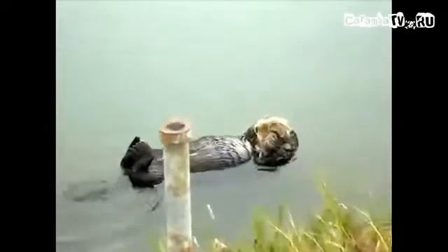 +100500 Взгляд В Душу смотреть онлайн