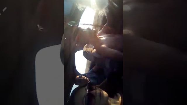 Айыртас(1) смотреть онлайн