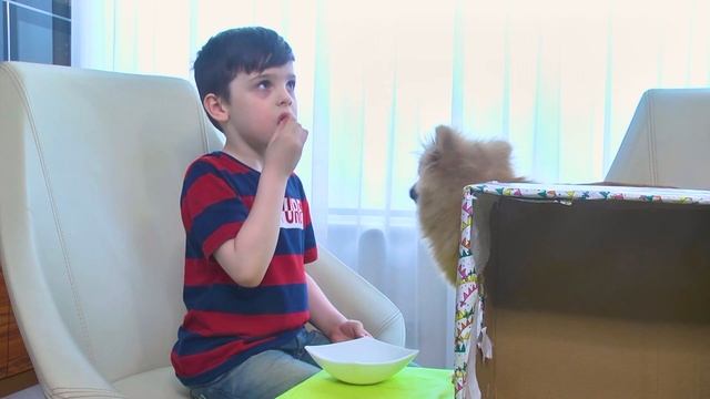 Серж и Вася угадывают что в коробке Челлендж! смотреть онлайн