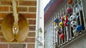 Истории тех, кому не повезло с соседями