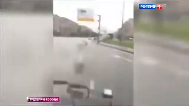 ЗОЛОТАЯ МОЛОДЕЖЬ НИКАК НЕ УСПОКОИТСЯ  СНОВА РУСЛАН ШАМСУАРОВ