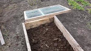 Завтра операция, как я оказалась в больнице. Видео из дома.