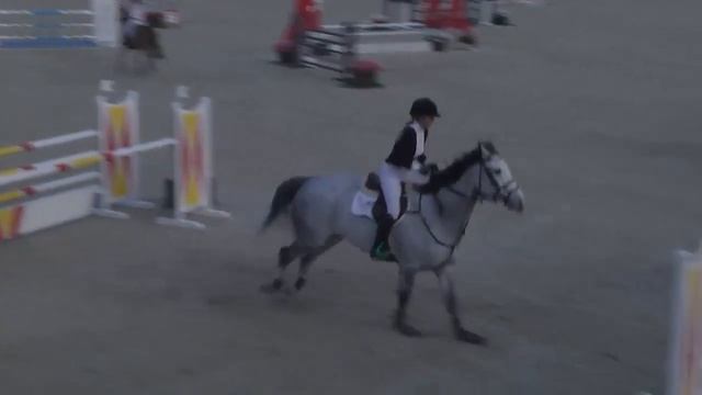 WCE FALCO - Lucinda Roche - Bronze 4 - Valencia (31.10.2014) смотреть онлайн