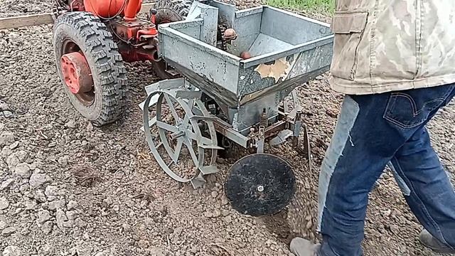 Посадка картофеля мотоблоком МТЗ-05, 2025 г., часть 2