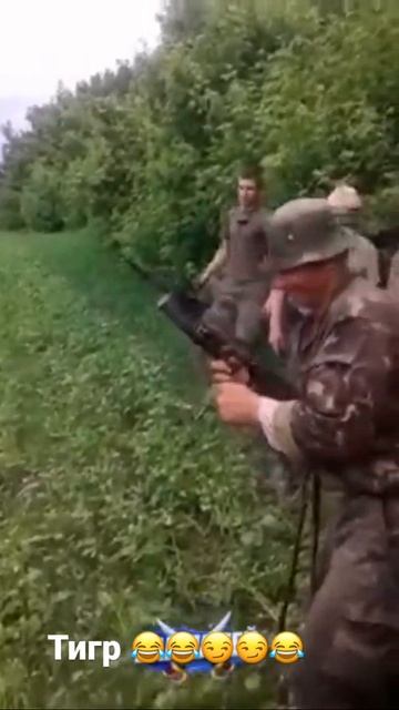 Тигр#камень#бомба#смех#сургут смотреть онлайн
