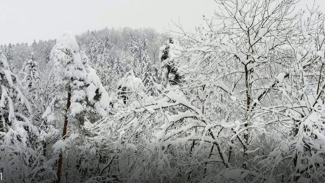 Снег, Владимир Хлебозор. Snow by Vladimir Xlebozor смотреть онлайн