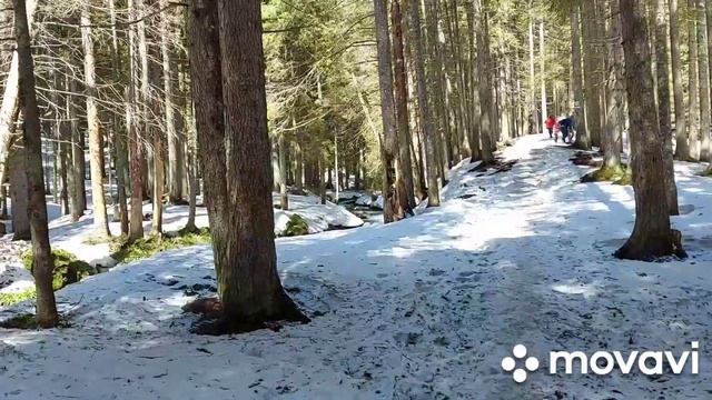 Восхождение на Говерлу.04.05.2021.