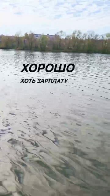 всё подорожало но заплата стабильна.