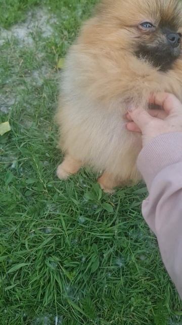 Тимати (10.04.2021 г.р.) смотреть онлайн