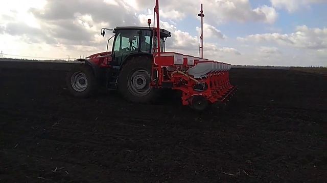 ПОСЕВНАЯ 2022! Massey Ferguson 6713 в тандеме с сеялкой Gaspardo MTR 8 смотреть онлайн