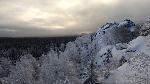 ШУНУТ и СТАРИК. Начало зимы 2021